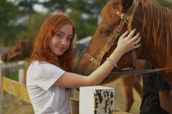 Tulum Jungle Horseback Ride + ATV + Ziplines + Cenote Combo Tour - The Big Picture: A 5-Hour Jungle Day With Many Moving Parts