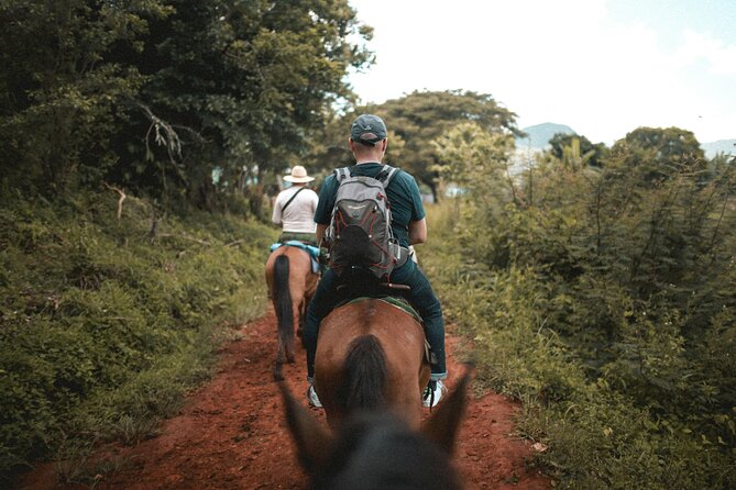 Tulum Jungle Horseback Ride + ATV + Ziplines + Cenote Combo Tour - Cenote Swimming in an Underground River: The Highlight With Cold-Water Karma