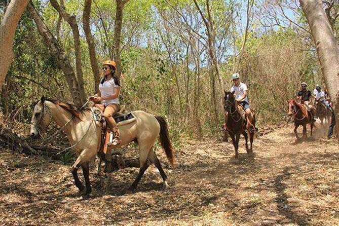Tulum Jungle Horseback Ride + ATV + Ziplines + Cenote Combo Tour - Guides And Group Energy: The Difference Between Good and Great