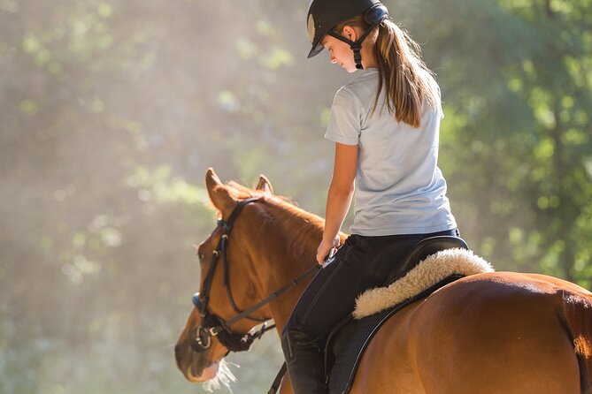 Tulum Jungle Horseback Ride + ATV + Ziplines + Cenote Combo Tour - Zip Lines Plus a Short Wall Rappel: Fast, Fun, and Time-Sensitive