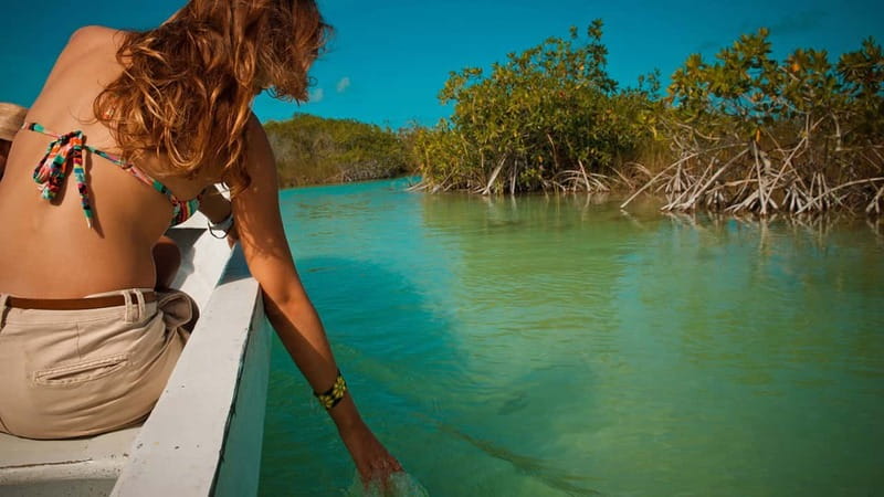 Tulum: Mayan Ruins & Sian Kaan Tour with Boat Ride and Lunch - What Transfers Add to the Value (and Why Meeting Point Matters)