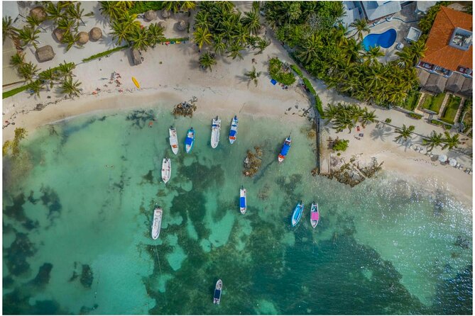 Tulum Ruins, Turtles in Akumal and Cenote tour - Key Things You’ll Appreciate Right Away