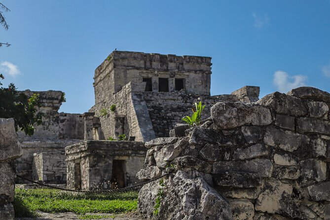 Tulum Ruins, Turtles in Akumal and Cenote tour - Morning Pickup and the 8-Hour Reality Check