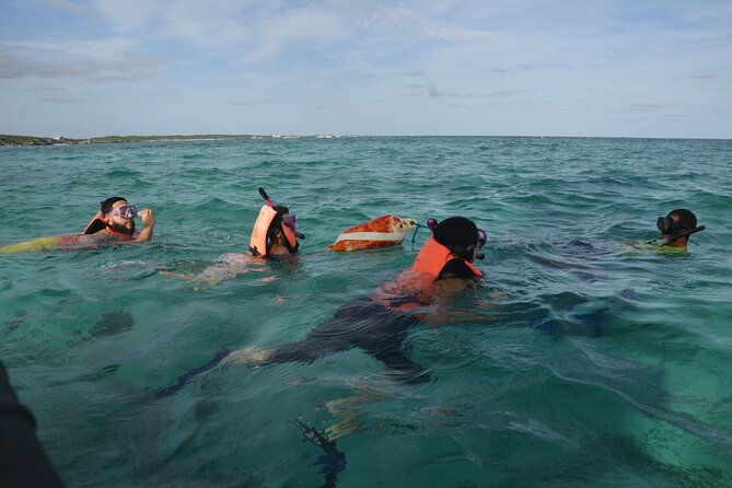 Tulum: Snorkeling and Private Sailing Tour - Logistics That Actually Matter: Meeting Point, Finding the Boat, Timing