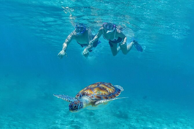 Tulum, Snorkeling with Sea Turtles, Cenote and Beachside Lunch - The Value of a $189 Day: What Your Money Actually Buys