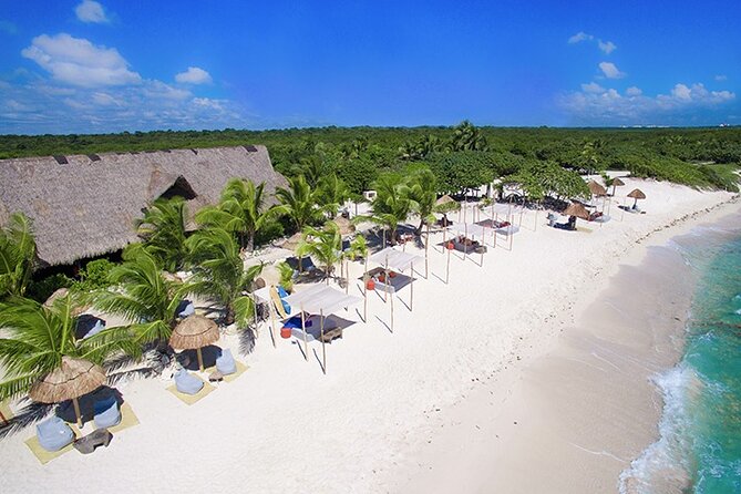 Tulum, Snorkeling with Sea Turtles, Cenote and Beachside Lunch - Akumal Beach Turtle Snorkeling: How to Improve Your Chances