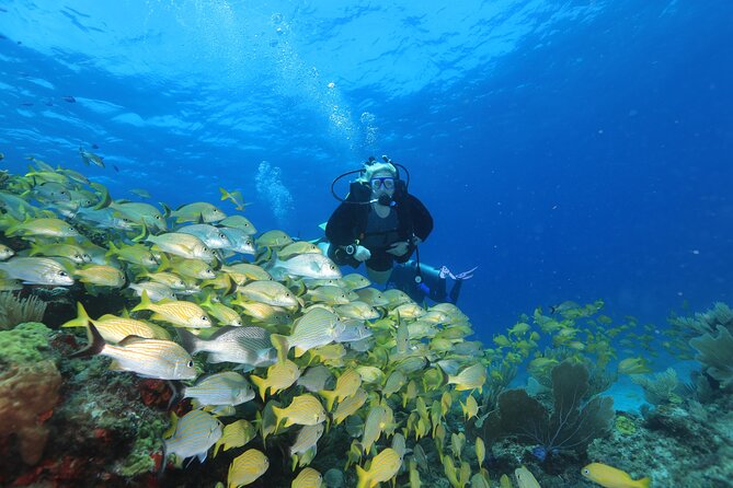 Two Tanks Scuba Diving for Beginners in Cancun - A Beginner-Friendly Skill Day in Cancun’s Water
