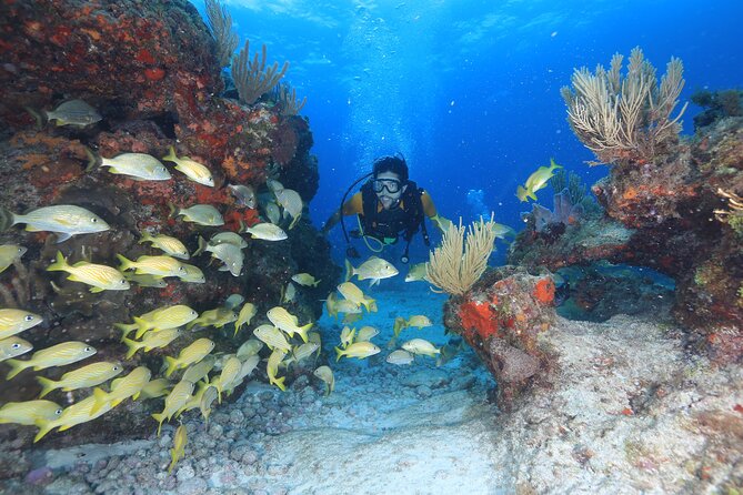 Two Tanks Scuba Diving for Beginners in Cancun - Gear and Packing: What’s Included, What You Must Bring