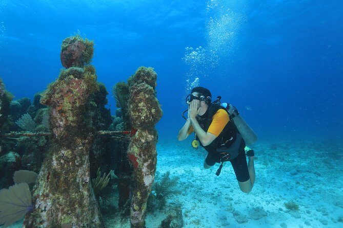 Two Tanks Scuba Diving for Beginners in Cancun - Morning Flow: Check-In, Paperwork, Theory, and Pool Practice