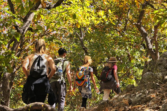 Ultimate Hierve el Agua Hike + Mezcal - The biggest considerations before you book