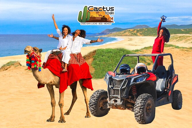 UTV Adventure with Free Camel Ride and Sky Bikes - UTV Desert Trails for About an Hour: Shared Ride, Big Sand Energy