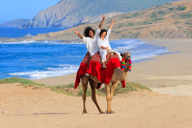 UTV Adventure with Free Camel Ride and Sky Bikes - Sky Bikes and an Ecological Hike for About an Hour: High Views Without a Long Trek