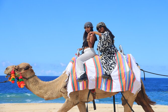UTV Adventure with Free Camel Ride and Sky Bikes - Tequila Tasting, Photos, and Phone Rules: What You Should Prepare For