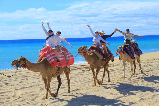 UTV Adventure with Free Camel Ride and Sky Bikes - Who This Tour Fits Best, and Who Should Rethink It