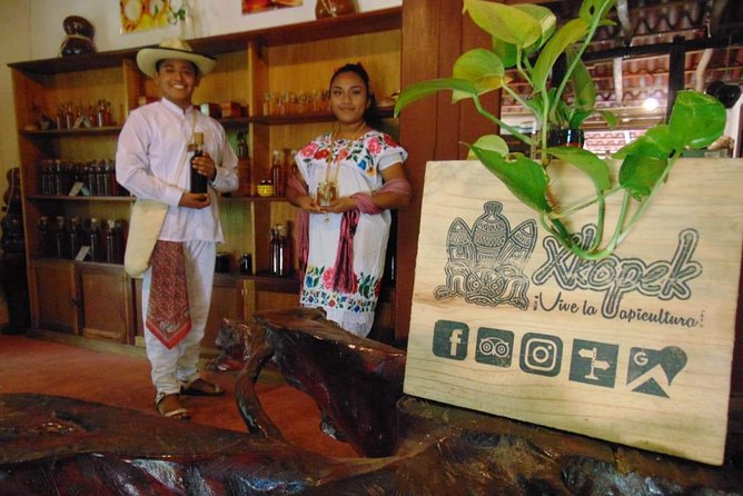 Valladolid Mayan Bees Tour with Lunch or breakfast and Honey Tasting - Jungle path to honey-production plants and what that teaches