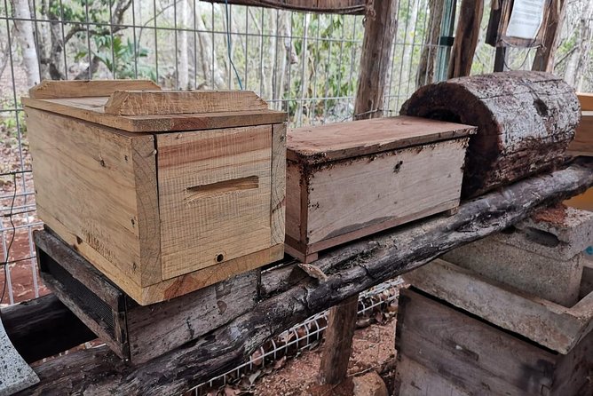 Valladolid Mayan Bees Tour with Lunch or breakfast and Honey Tasting - Meliponario beehives: honey production, hive products, and hive architecture