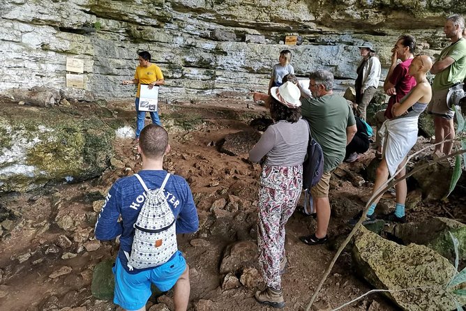 Valladolid Mayan Bees Tour with Lunch or breakfast and Honey Tasting - Honey tasting: what you sample and why it is the payoff