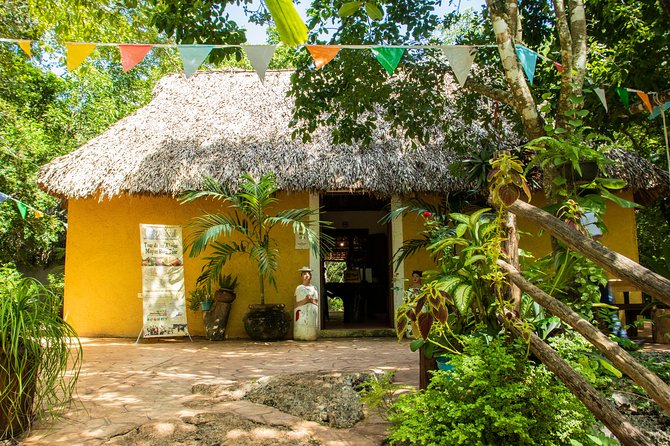 Valladolid Mayan Bees Tour with Lunch or breakfast and Honey Tasting - Breakfast or lunch included: plan your stomach for a real meal