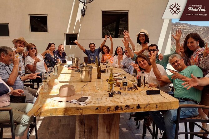 Valle de Guadalupe winery and brewery tours - Transportation Value: Clean Van, Safe Driving, and Group Comfort