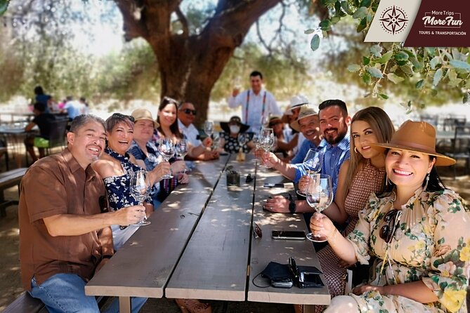 Valle de Guadalupe winery and brewery tours - Vinamun Drivers, Bilingual Help, and That Local Timing Advantage