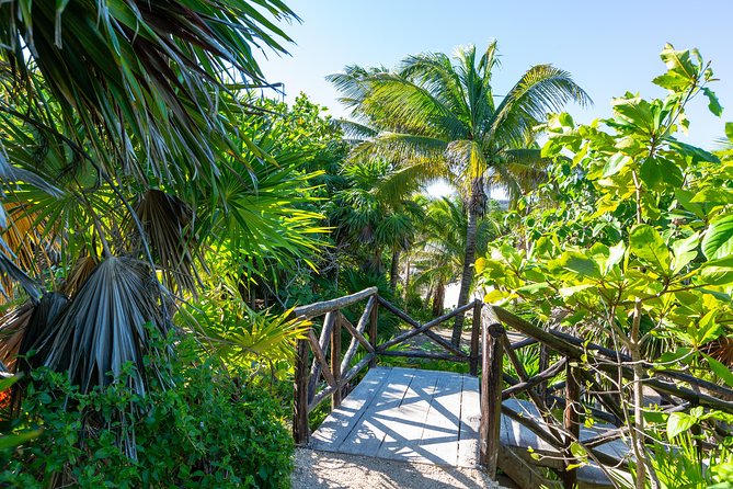 Viator Exclusive: Tulum Ruins, Reef Snorkeling, Cenote and Caves - Stop 2: Playa Maya snorkeling, gear provided, and real wildlife chances