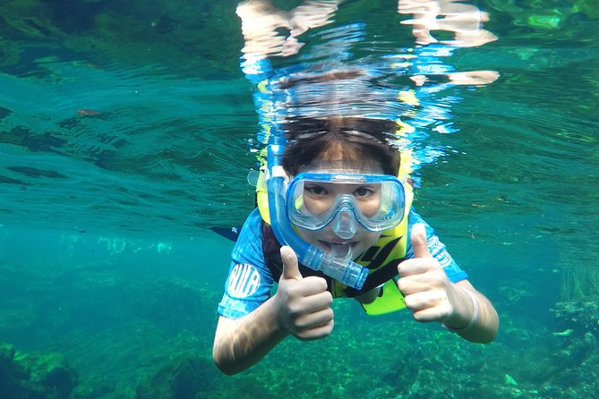 VIP Cenotes Private Tour - The Three Cenotes: What Each Stop Is For (and What to Expect)