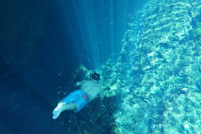 VIP Cenotes Private Tour - Snorkeling Gear, Chilled Water, and the Guide’s Role