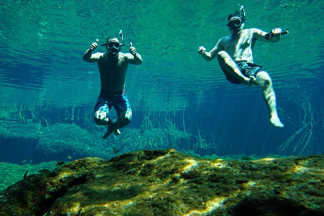 VIP Cenotes Private Tour - What About Lunch: Plan Your Food Around the Water