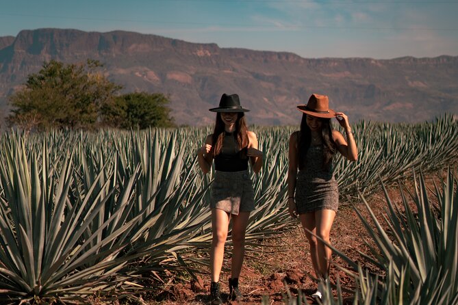 Vip Tequila Experience - The 6-tequila tasting, what you should pay attention to
