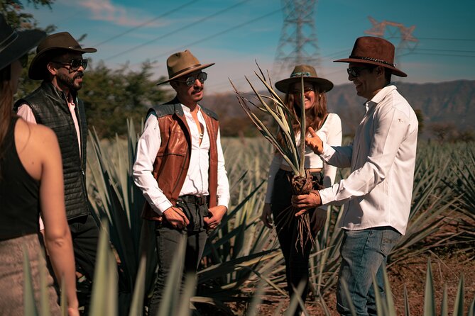 Vip Tequila Experience - Cantaritos El Güero: the late-day vibe that can make or break your mood