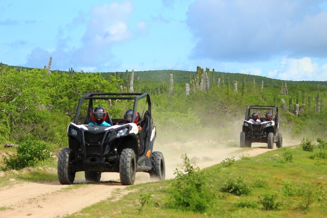 Viper Trail UTV Small-Group Experience in Cabo San Lucas - What Makes the Viper Trail Feel Like a Real Cabo Adventure