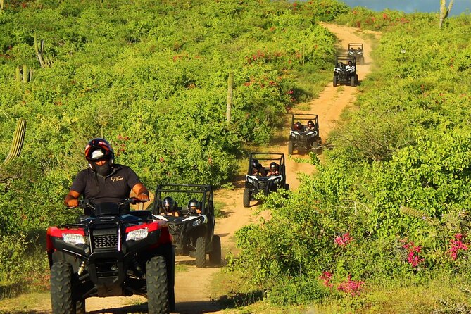 Viper Trail UTV Small-Group Experience in Cabo San Lucas - Price Value: What You’re Paying For (and What’s Extra)