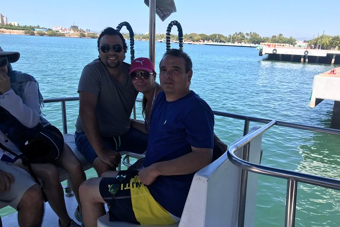 Whale & Dolphin Watching Cruise in Puerto Vallarta All Inclusive - Whale and Dolphin Watching: What Your “Hunt” Usually Looks Like