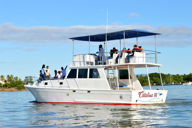 Whale & Dolphin Watching Cruise in Puerto Vallarta All Inclusive - What You Get, and What You Need to Pay for Separately