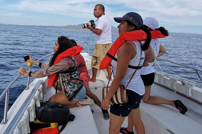Whale Encounter Puerto Vallarta - Getting to Tours Eco Explorer Vallarta and starting on time