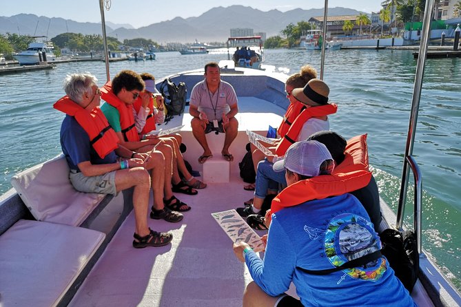 Whale Encounter Puerto Vallarta - 3 hours on the water: fast boat, shade, and hydrophone time