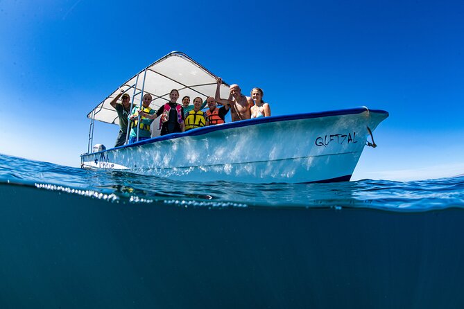 Whale Shark snorkeling tour in a reduced group with local marine biologist - Key things that make this tour worth your time