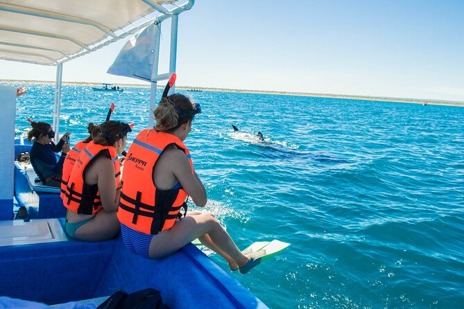 Whale Shark snorkeling tour in a reduced group with local marine biologist - Gear and comfort: what’s included, what you should bring