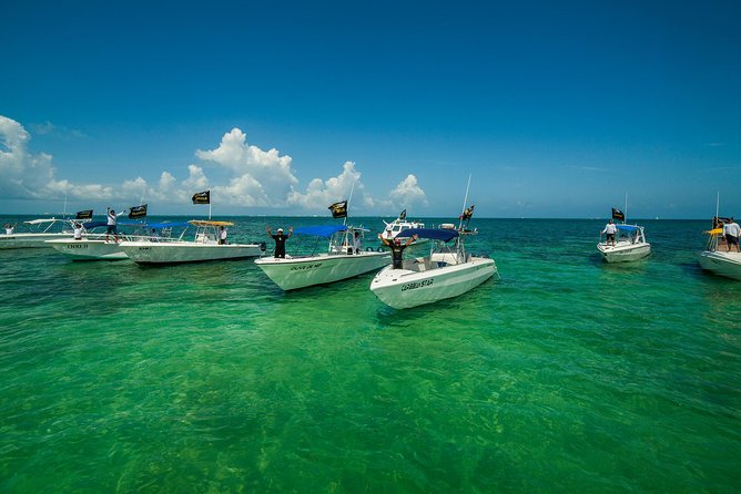 Whale Shark Swimming and Isla Mujeres Beach Tour - The Choppy-Water Reality Check (and how to handle it)