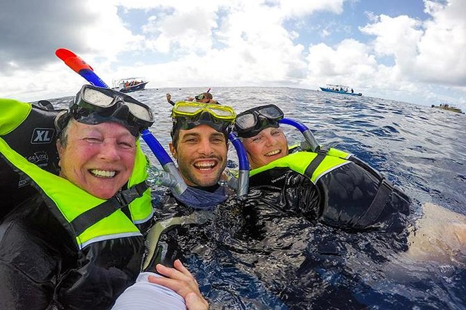 Whale Shark Tour from Cancun, Playa del Carmen, Tulum and Riviera Maya - Early pickup and long days, the honest version