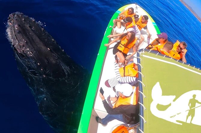 Whale Watching Cabo-Women crew-Sightings Guaranteed & Free Photos - Hydrophone whale songs: the part you will remember later