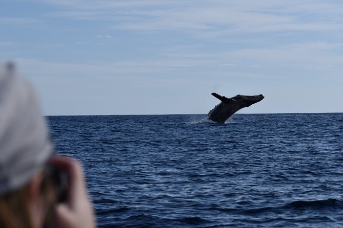 Whale Watching Cabo-Women crew-Sightings Guaranteed & Free Photos - El Arco photos and digital photo delivery