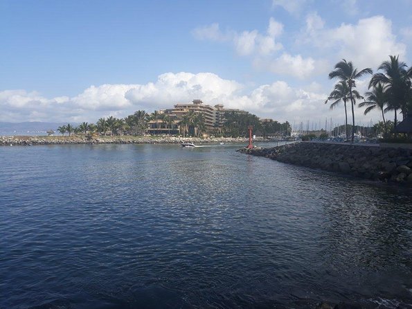 Whale Watching Cruise In Puerto Vallarta & Nuevo Vallarta - Catamaran Comfort, Open Bar, and Meals You Will Be Happy About