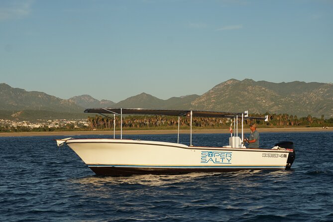 Whale Watching Group Tour in San Jose del Cabo - Why San Jose del Cabo Is Such a Strong Whale Watching Choice