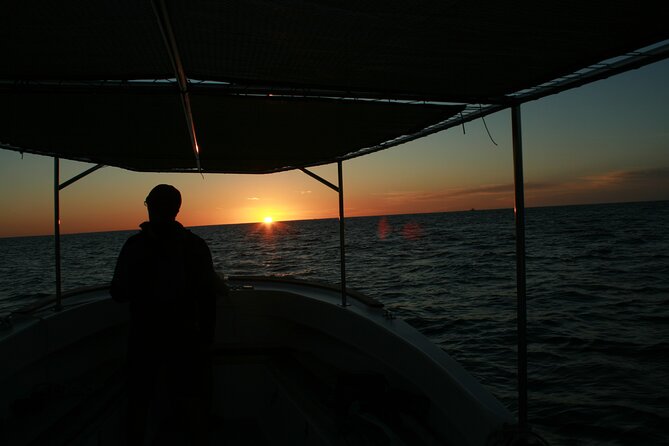 Whale Watching Group Tour in San Jose del Cabo - The Guide Makes or Breaks It, and This One Has Real Whale People