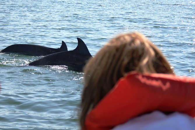 Wild Dolphin Encounter & Snorkeling Adventure - Los Arcos de Mismaloya snorkeling stop: why it’s a smart second act
