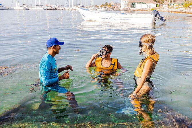 With Turtles, Shipwreck, Cenote, and Reef and Transport Included - The point: snorkeling that feels personal, not rushed
