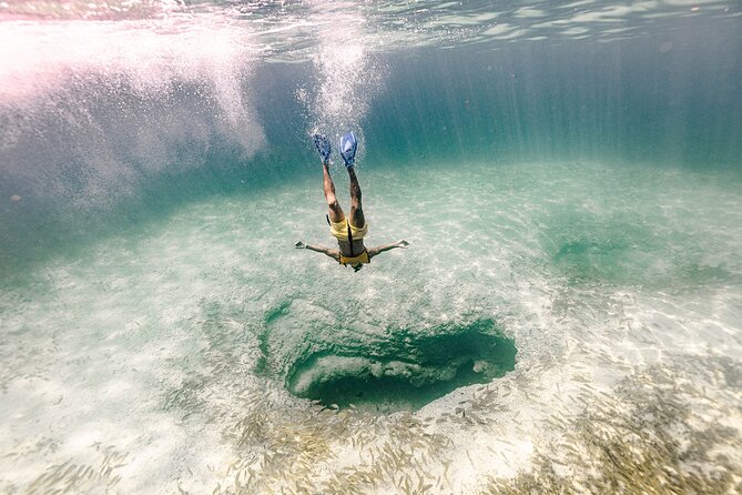 With Turtles, Shipwreck, Cenote, and Reef and Transport Included - Stop one: the reef start, shallow water, lots of fish