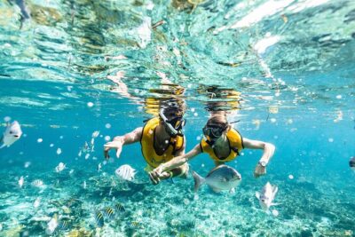 With Turtles, Shipwreck, Cenote, and Reef and Transport Included