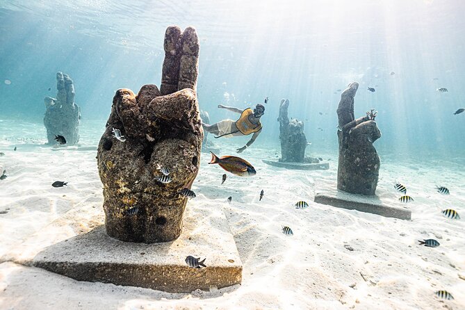 With Turtles, Shipwreck, Cenote, and Reef and Transport Included - Cenote-style stop and the way the day stays short